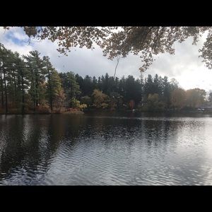 Meet your Posher, Maddie